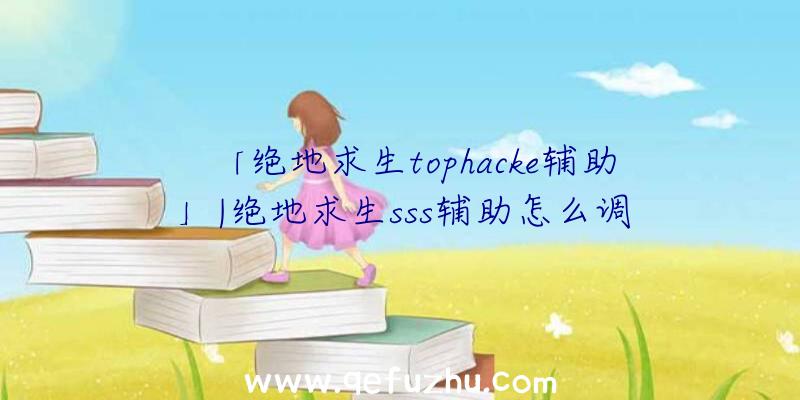 「绝地求生tophacke辅助」|绝地求生sss辅助怎么调